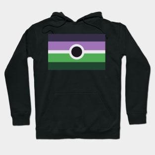 voidpunk flag Hoodie